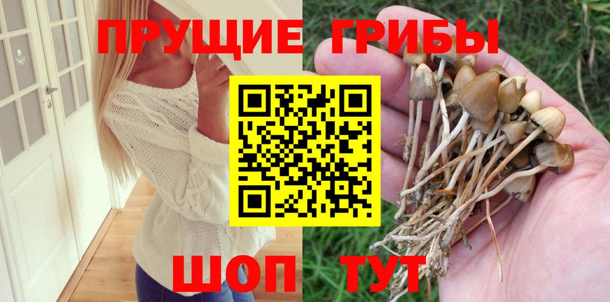 Псилоцибиновые грибы Psilocybe  Вход с VPN  Псилоцибиновые грибы Psilocybine cubensis  Мытищи 