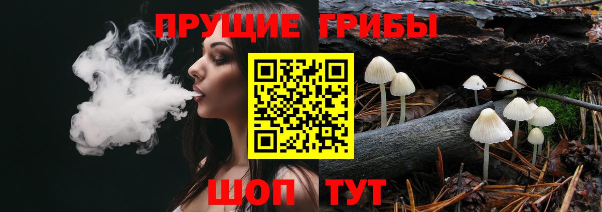 Псилоцибиновые грибы мицелий Мытищи